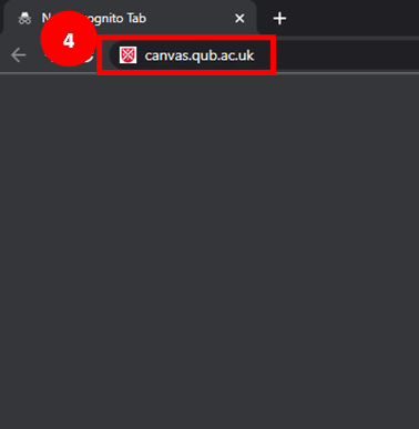 Chrome incognito browser window highlighting 'https-canvas-qub-ac-uk-443.webvpn.ynu.edu.cn' typed in search bar as step 4
