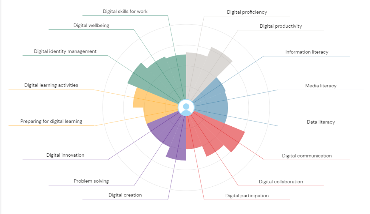 Coloured graphical representation of the 15 areas of digital skiils development