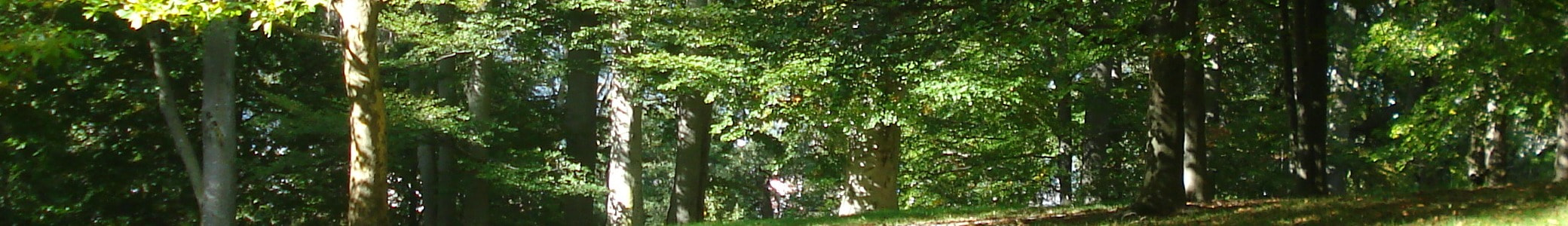Thomas Moore in Europe