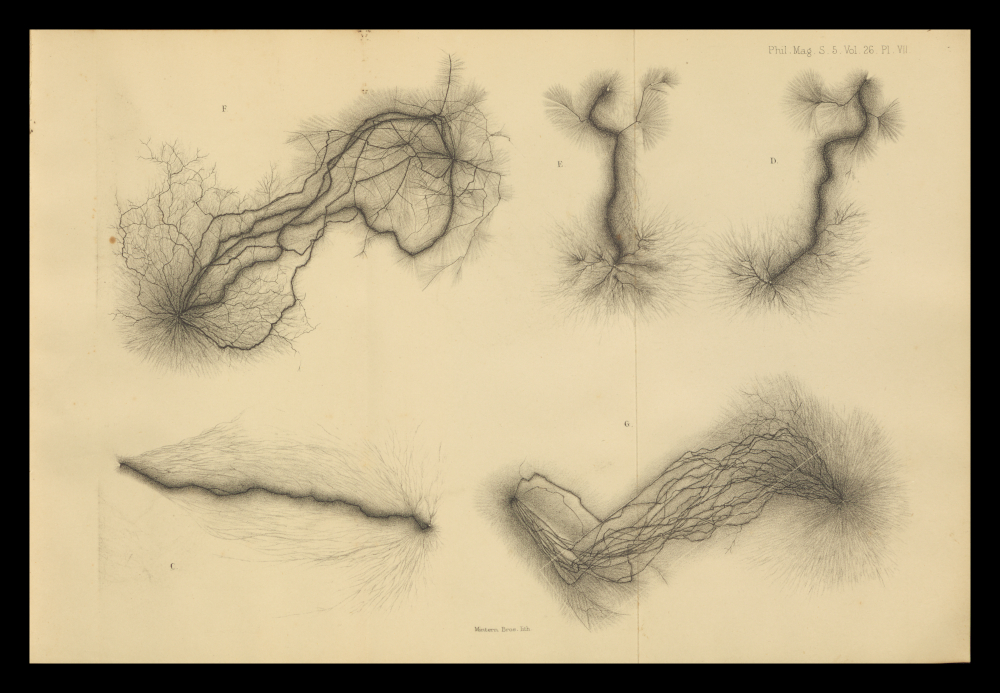 Brown, J. (1888) ‘On Figures Produced by Electric Action on Photographic Dry Plates’. The Philosophical Magazine. Series 5, Volume 26 (December 1888). Plate VII